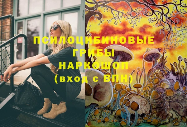 спиды Беломорск